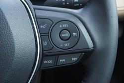 2024 Toyota RAV4 Cruiser