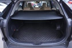 2024 Toyota RAV4 Cruiser