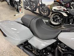 2025 Harley-Davidson Road Glide 117 (FLTRX) Touring Grey