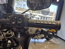 2026 Harley-Davidson Low Rider ST 117 (FXLRST) Softail Black