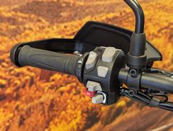 2025 Triumph Tiger 900 Alpine Edition Tiger White