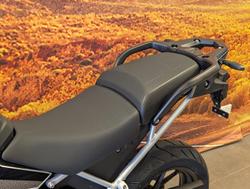 2025 Triumph Tiger 900 Alpine Edition Tiger White