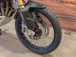 2025 Triumph Tiger 1200 Desert Edition Tiger White