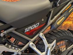 2025 Triumph Tiger 1200 Desert Edition Tiger White