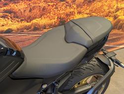 2025 Triumph Trident 800 Trident Black