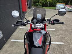 2025 Ducati Desert X Discovery