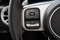 2025 GWM Tank 300 Lux