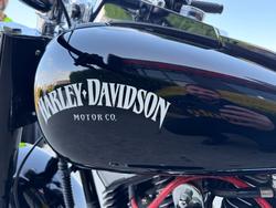 2011 HARLEY-DAVIDSON FLSTF FAT BOY