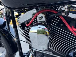 2011 HARLEY-DAVIDSON FLSTF FAT BOY