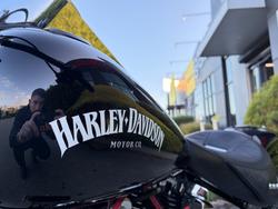 2011 HARLEY-DAVIDSON FLSTF FAT BOY