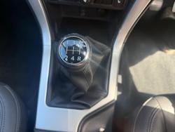 2020 Great Wall Steed