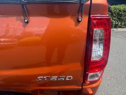 2020 Great Wall Steed