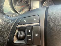 2020 Great Wall Steed