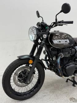 2019 Kawasaki W800 CAFE BLACK/GREY