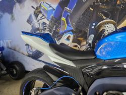 2010 Suzuki GSX-R1000 BLUE