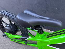 2024 Kawasaki 2024 Kawasaki ELECTRIC ELEKTRODE (KSK030) GREEN