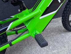 2024 Kawasaki 2024 Kawasaki ELECTRIC ELEKTRODE (KSK030) GREEN