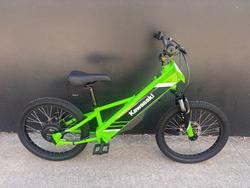 Kawasaki Kawasaki 2025 Elektrode 20 KSK050ASFNN