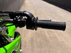 2025 Kawasaki KLX230 S GREEN
