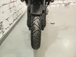 2025 Triumph Tiger 1200 Alpine Edition Tiger White