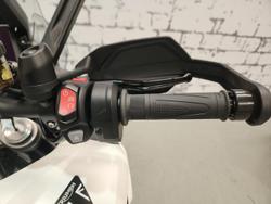 2025 Triumph Tiger 1200 Alpine Edition Tiger White