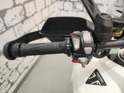 2025 Triumph Tiger 1200 Alpine Edition Tiger White