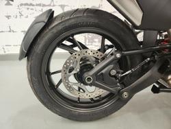 2025 Triumph Tiger 1200 Alpine Edition Tiger White