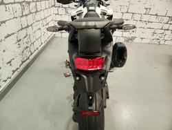 2025 Triumph Tiger 1200 Alpine Edition Tiger White