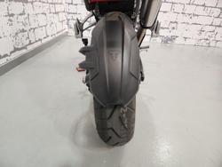 2025 Triumph Tiger 1200 Alpine Edition Tiger White