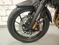 2025 Triumph Tiger 1200 Alpine Edition Tiger White