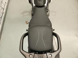 2025 Triumph Tiger 1200 Alpine Edition Tiger White