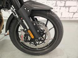 2025 Triumph Tiger 1200 Alpine Edition Tiger White