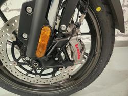 2025 Triumph Tiger 1200 Alpine Edition Tiger White