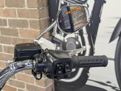 2026 Harley-Davidson Fat Boy 117 (FLFB) Softail