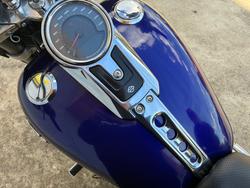 2019 HARLEY-DAVIDSON FLSB SPORT GLIDE Blue