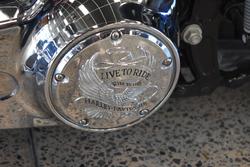 2012 HARLEY-DAVIDSON FLSTF FAT BOY