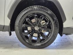 2024 Toyota RAV4 Cruiser