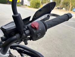 2024 Royal Enfield HIMALAYAN 450 Brown