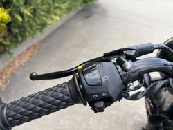 2023 MUTT HILTS GREEN 250 Green