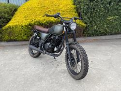 2023 MUTT HILTS GREEN 250 Green