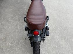 2023 MUTT HILTS GREEN 250 Green