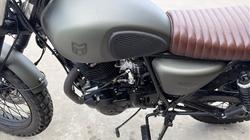 2023 MUTT HILTS GREEN 250 Green