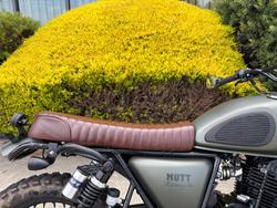 2023 MUTT HILTS GREEN 250 Green