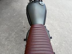 2023 MUTT HILTS GREEN 250 Green