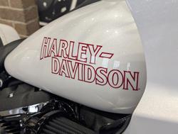 2026 Harley-Davidson Low Rider ST 117 (FXLRST) Softail White