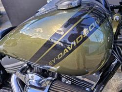 2016 Harley-Davidson FXDF FAT BOB GREEN