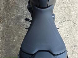 2022 DUCATI MONSTER + GREY