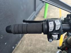 2022 DUCATI MONSTER + GREY