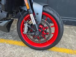 2022 DUCATI MONSTER + GREY