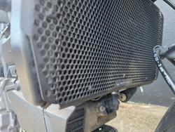 2022 DUCATI MONSTER + GREY